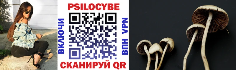 цены   Гурьевск  Псилоцибиновые грибы прущие грибы 