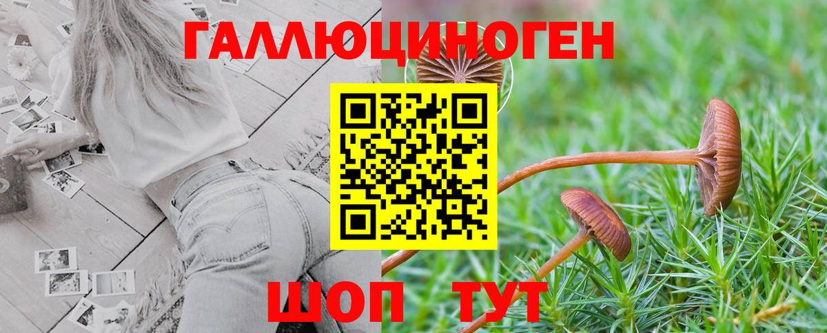 COCAIN  Вход с VPN  Купить  МЕТ  ТГК  Гурьевск  ГАШИШ  Меф МЯУ МЯУ кристаллы 